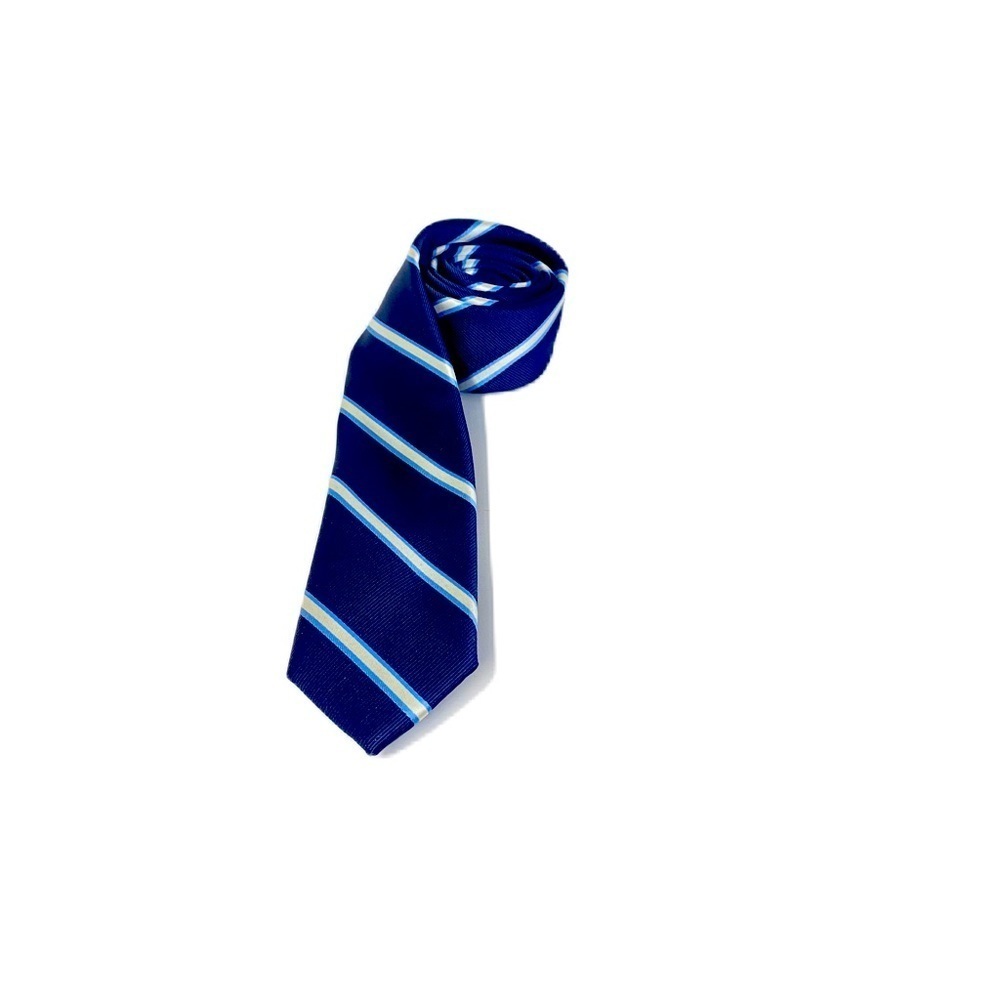 Tommy Hilfiger kids Blue Striped tie